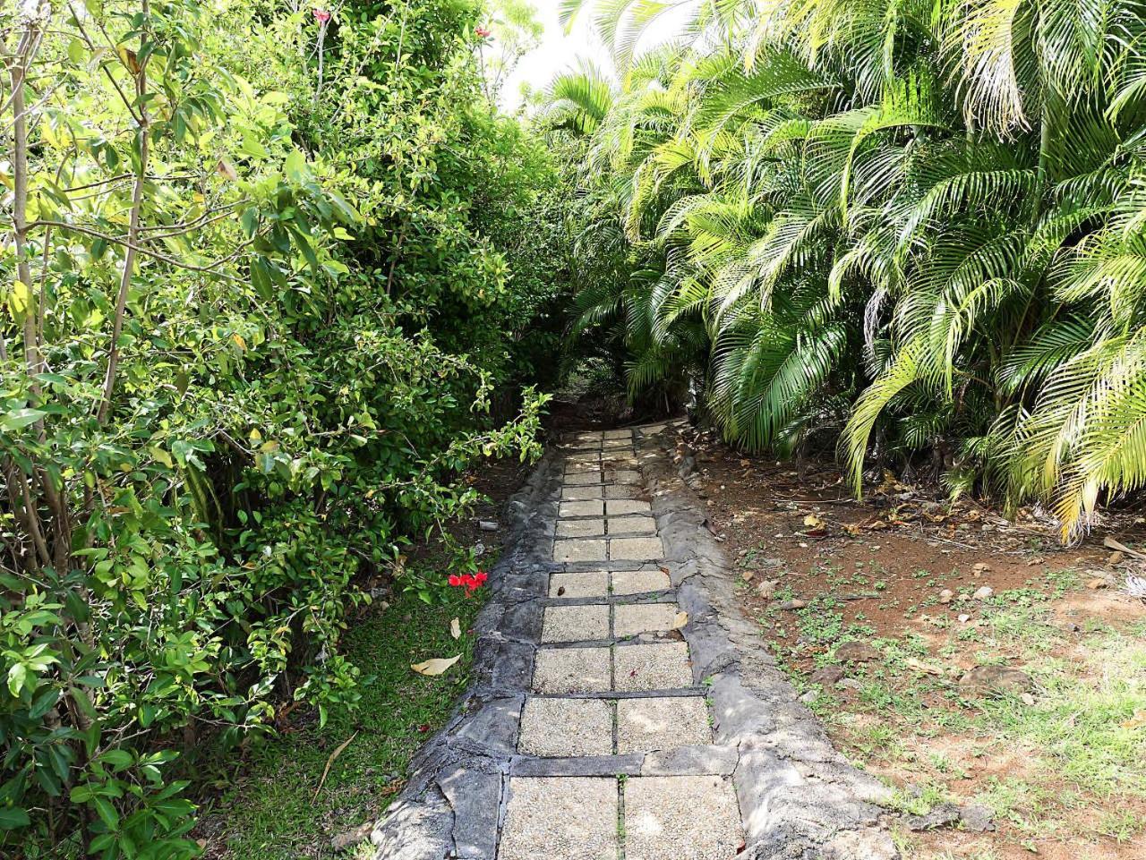 Karureve Villa Deshaies Dış mekan fotoğraf